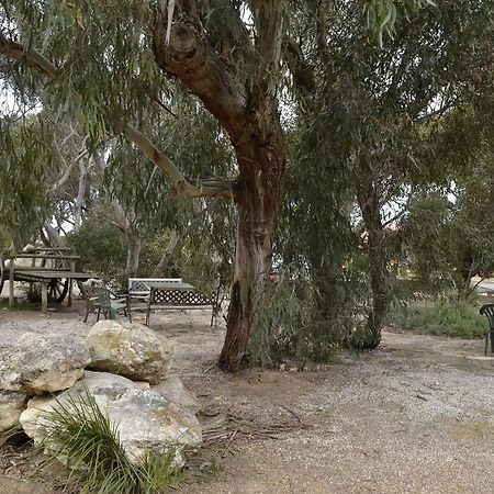 Kangaroo Island Holiday Village كنغزسكوت الغرفة الصورة